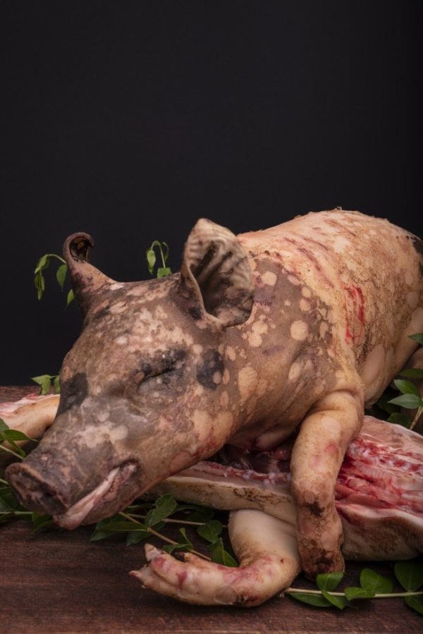maialetto_sardo_da_arrosto
